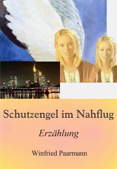 Schutzengel im Nahflug (eBook, ePUB) - Paarmann, Winfried