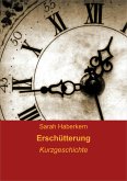 Erschütterung (eBook, ePUB)