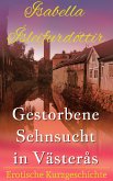 Gestorbene Sehnsucht in Västerås (eBook, ePUB)