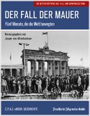 Der Fall der Mauer (eBook, PDF)