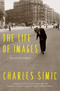 The Life of Images (eBook, ePUB) - Simic, Charles