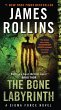 The Bone Labyrinth (eBook, ePUB) - Bild 1