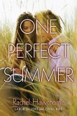 One Perfect Summer (eBook, ePUB)