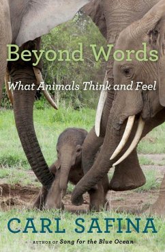 Cover Beyond Words (eBook, ePUB)