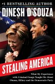 Stealing America (eBook, ePUB)