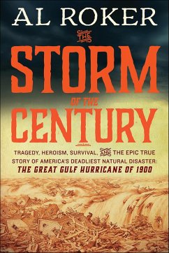 Cover The Storm of the Century (eBook, ePUB)