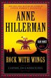 Rock with Wings (eBook, ePUB) - Bild 1