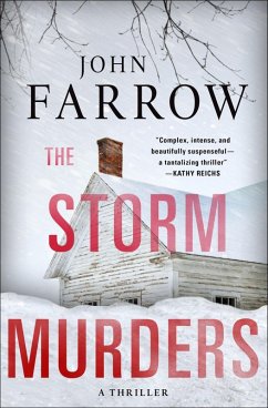 Cover The Storm Murders (eBook, ePUB)