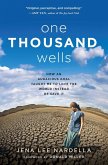 One Thousand Wells (eBook, ePUB)