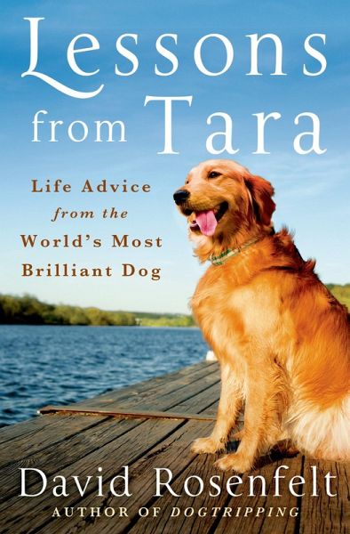 Lessons from Tara (eBook, ePUB)