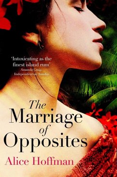 Cover The Marriage of Opposites (eBook, ePUB)