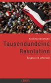 Tausendundeine Revolution (eBook, ePUB)