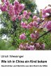 Wie ich in China ein Kind bekam (eBook,... - Bild 1