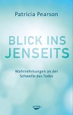 Blick ins Jenseits (eBook, ePUB)