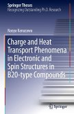 Charge and Heat Transport Phenomena in Electronic and Spin Structures in B20-type Compounds
