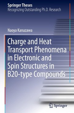 Charge and Heat Transport Phenomena in Electronic and Spin Structures in B20-type Compounds - Kanazawa, Naoya