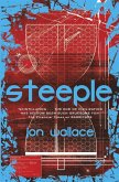Steeple (eBook, ePUB)