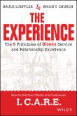 The Experience (eBook, ePUB)