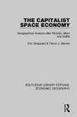 The Capitalist Space Economy (eBook, PDF)