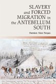 Slavery and Forced Migration in the Antebellum South (eBook, PDF)