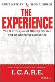The Experience (eBook, PDF)