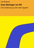 Zwei Betrüger am Nil (eBook, ePUB)