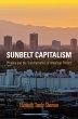 Sunbelt Capitalism - Bild 1
