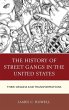 History of Street Gangs in the United... - Bild 1
