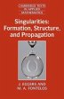 Singularities: Formation, Structure,... - Bild 1