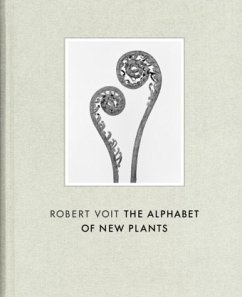 Cover Robert Voit