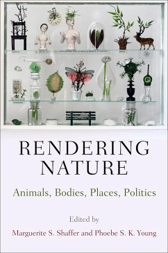 Cover Rendering Nature