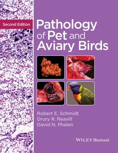 Pathology of Pet and Aviary Birds - Schmidt, Robert E.; Reavill, Drury R.; Phalen, David N.