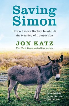 Saving Simon - Katz, Jon