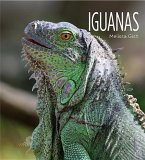 Iguanas