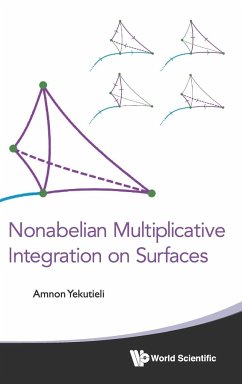 Nonabelian Multiplicative Integration on Surfaces - Yekutieli, Amnon