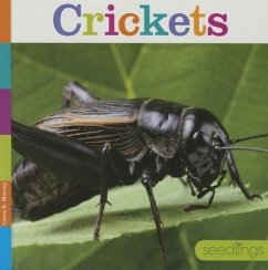 Crickets - Murray, Laura K