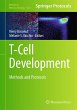 T-Cell Development - Bild 1