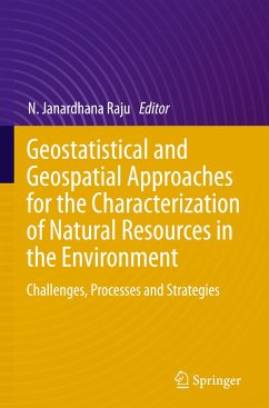 Geostatistical and Geospatial Approaches for the Characterization of Natural Resources in the Environment