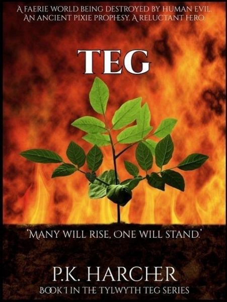 Teg (The Tylwyth Teg (Faerie Folk) Series, #1) (eBook, ePUB)