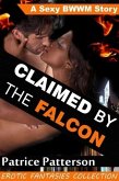 Claimed by the Falcon (eBook, ePUB)