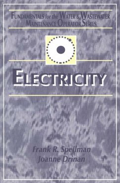 Electricity (eBook, PDF) - Spellman, Frank R.