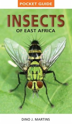 Cover Pocket Guide Insects of East Africa (eBook, PDF)