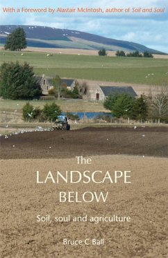 Landscape Below (eBook, ePUB) - Ball, Bruce C