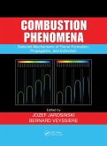 Combustion Phenomena (eBook, PDF)