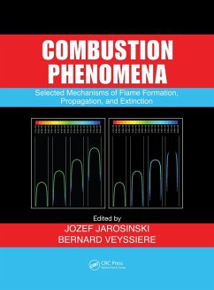 Combustion Phenomena (eBook, PDF)