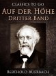 Auf der Höhe Dritter Band (eBook, ePUB) - Bild 1