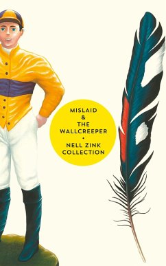 Mislaid & The Wallcreeper (eBook, ePUB) - Zink, Nell
