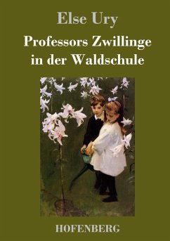 Professors Zwillinge in der Waldschule Else Ury Author