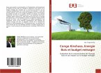 Congo Kinshasa, Energie Bois et budget ménager