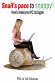 Snail's Pace To Snappy! How To Make Your Pc Fast Again (eBook, ePUB)
